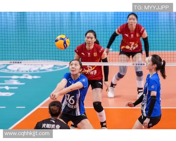 上海排球队灵活性深度对比分析与启示