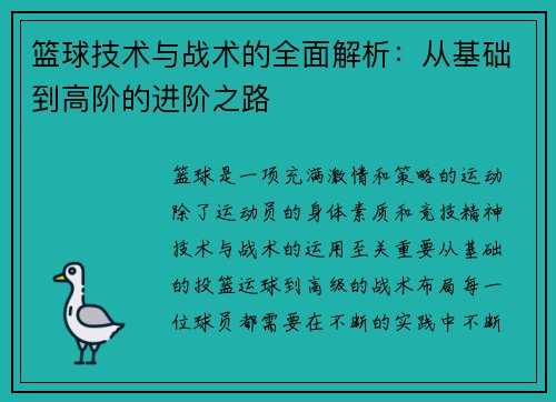 篮球技术与战术的全面解析：从基础到高阶的进阶之路