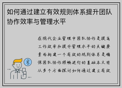 如何通过建立有效规则体系提升团队协作效率与管理水平