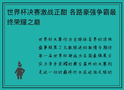世界杯决赛激战正酣 各路豪强争霸最终荣耀之巅