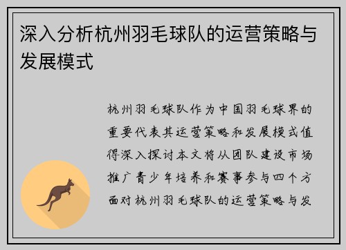 深入分析杭州羽毛球队的运营策略与发展模式